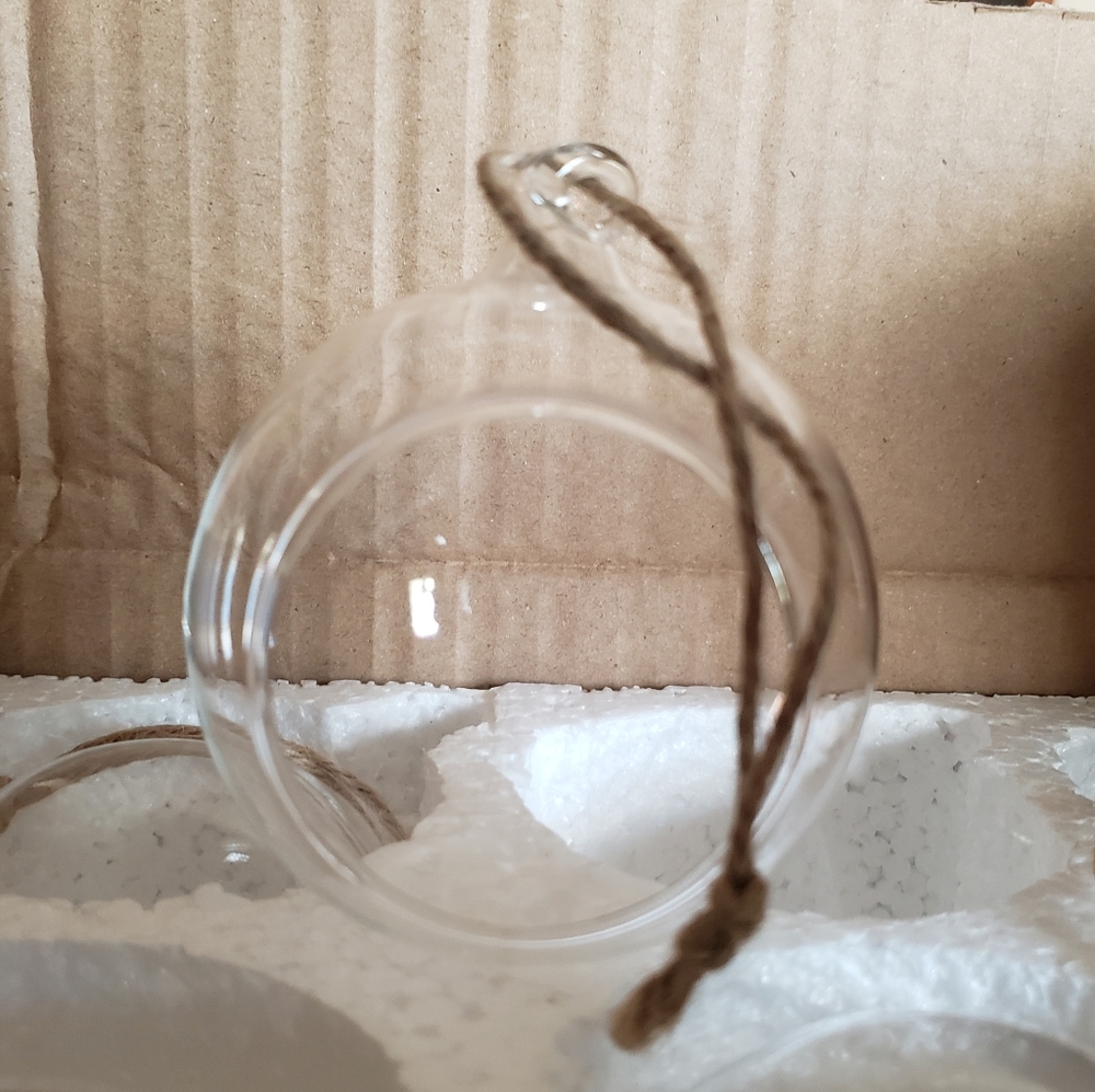 New 6 pack Hanging glass Terrarium holder